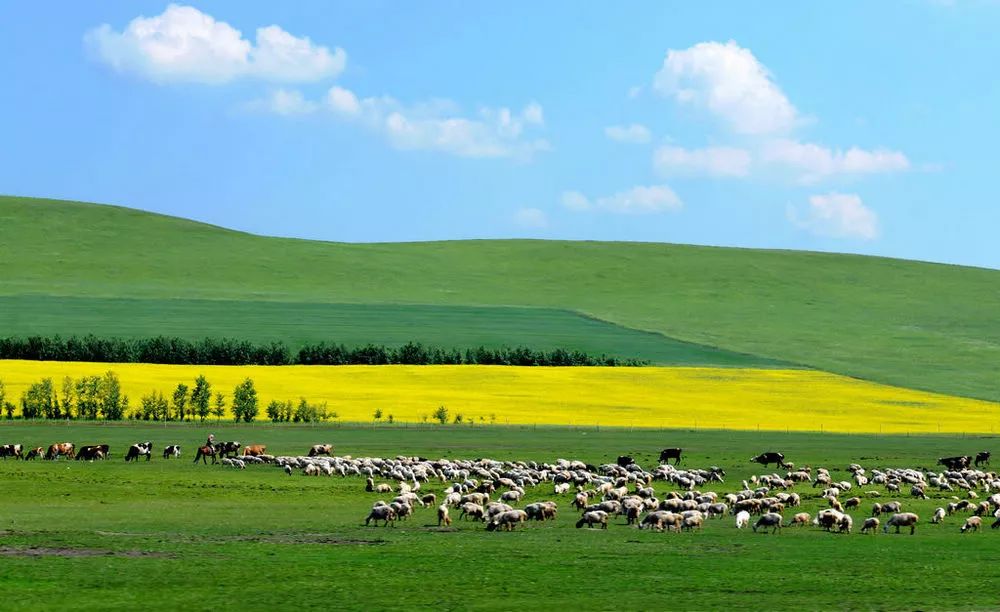 内蒙古,绿色发展引领草原生态与经济双赢