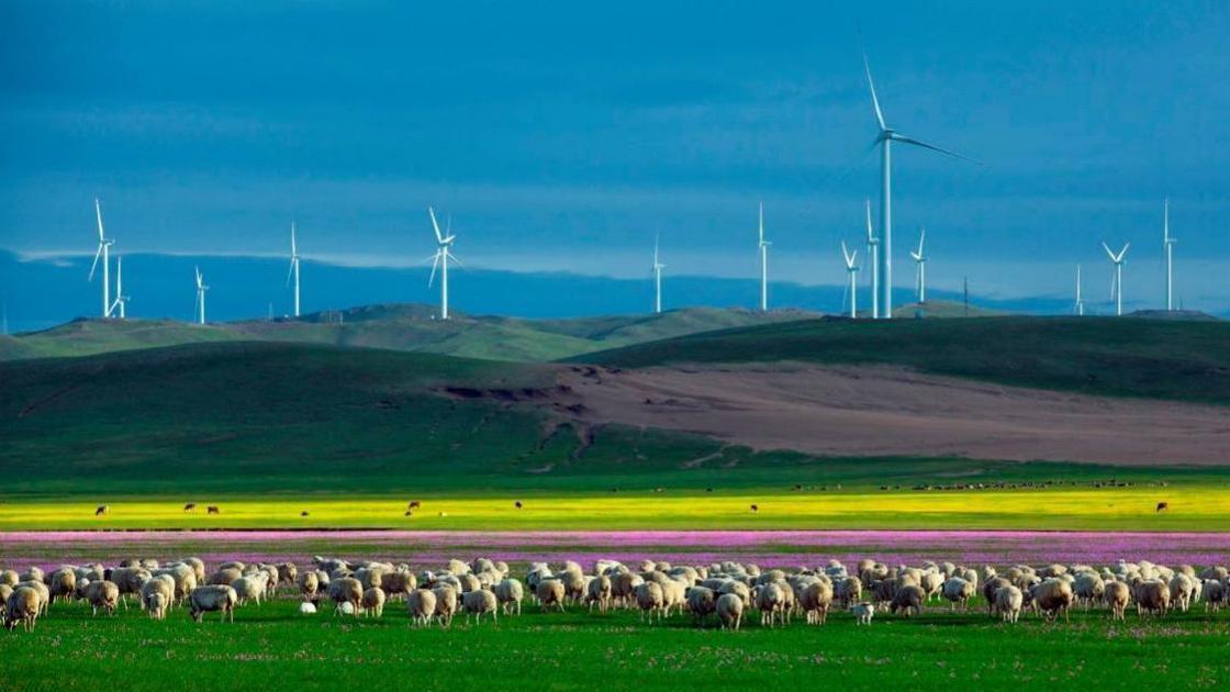 内蒙古,绿色发展引领草原生态与经济双赢