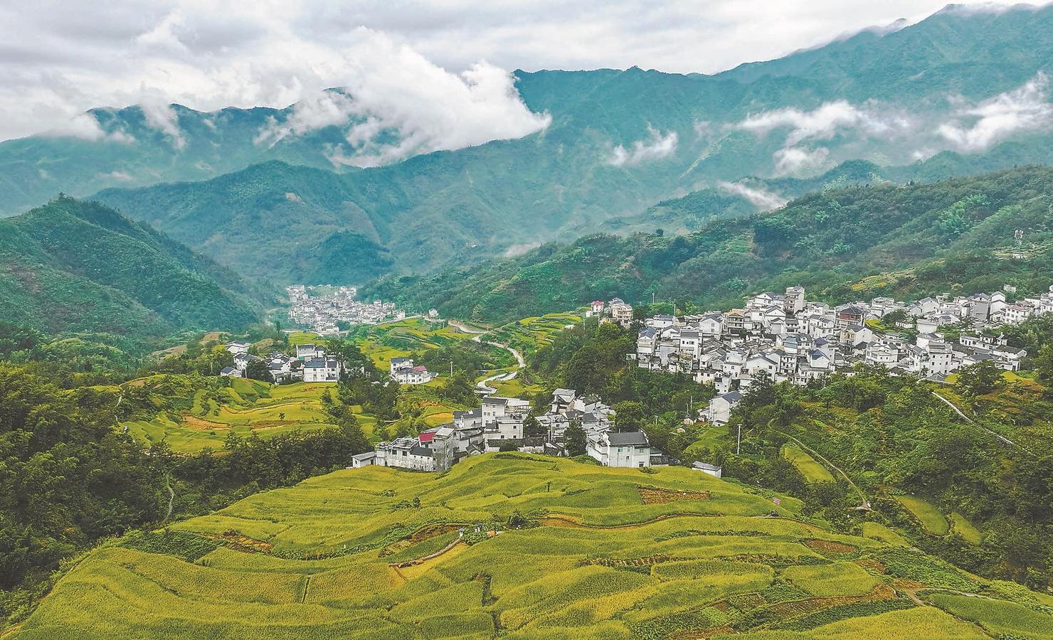 安徽秘境探幽，小红书带你走进绿意盎然的安徽