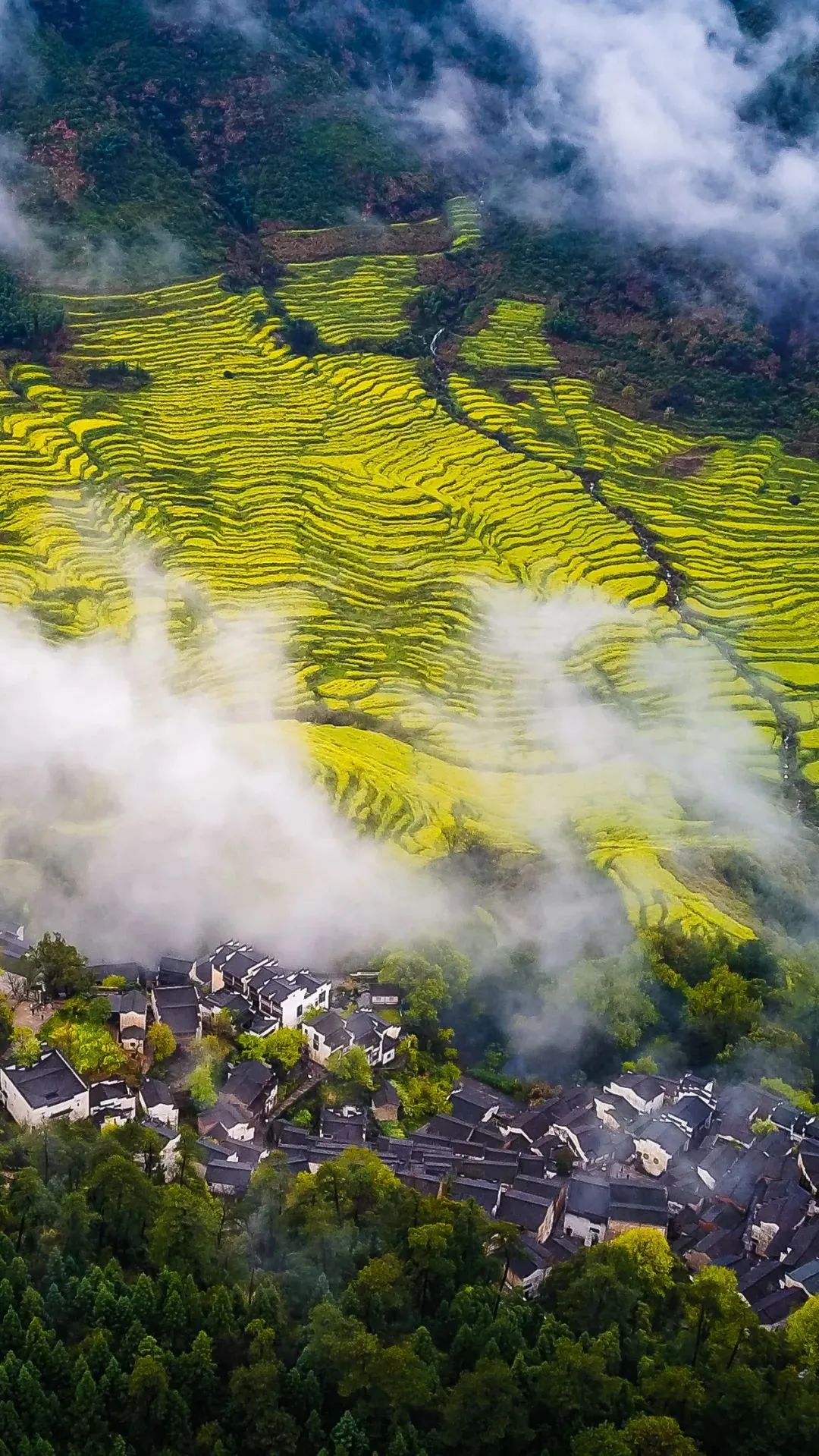 江西,自然之约,浪漫邂逅之地