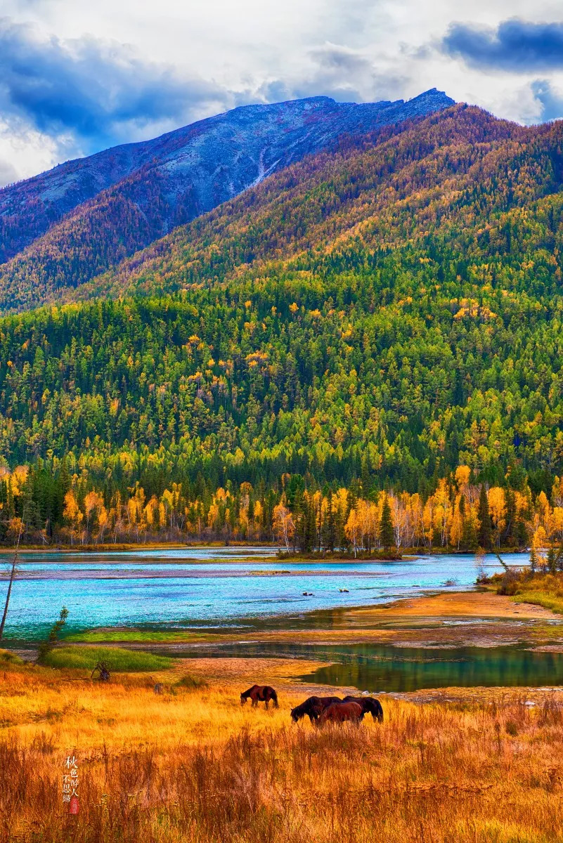 新疆,神秘多元魅力之地的探索与揭秘