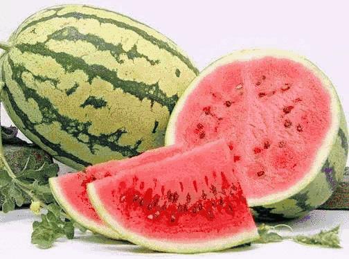 宁夏，民族团结进步的宁夏典范